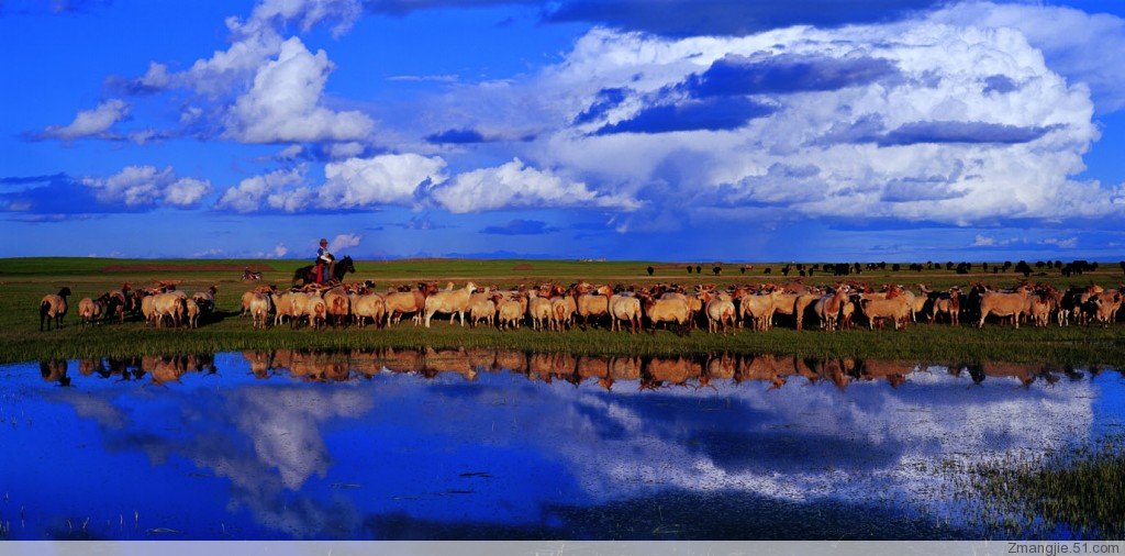 ŷ����(ͼ��)